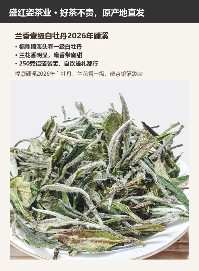 兰香壹级白牡丹2026年磻溪 详情图