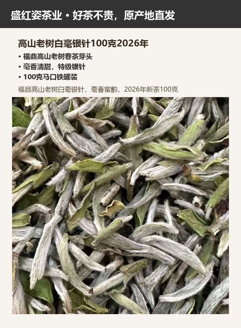高山老树白毫银针100克2026年 详情图