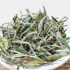 兰香壹级白牡丹2026年磻溪