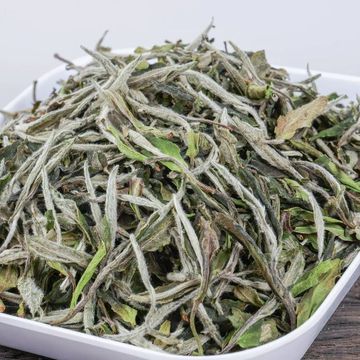 枞韵白牡丹2023年管阳高山