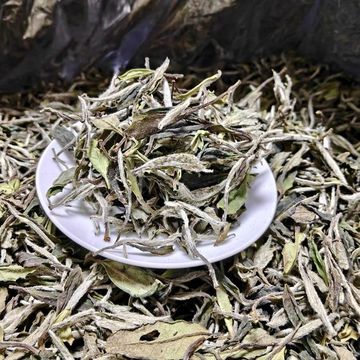 野韵荒野白牡丹2023年管阳高山